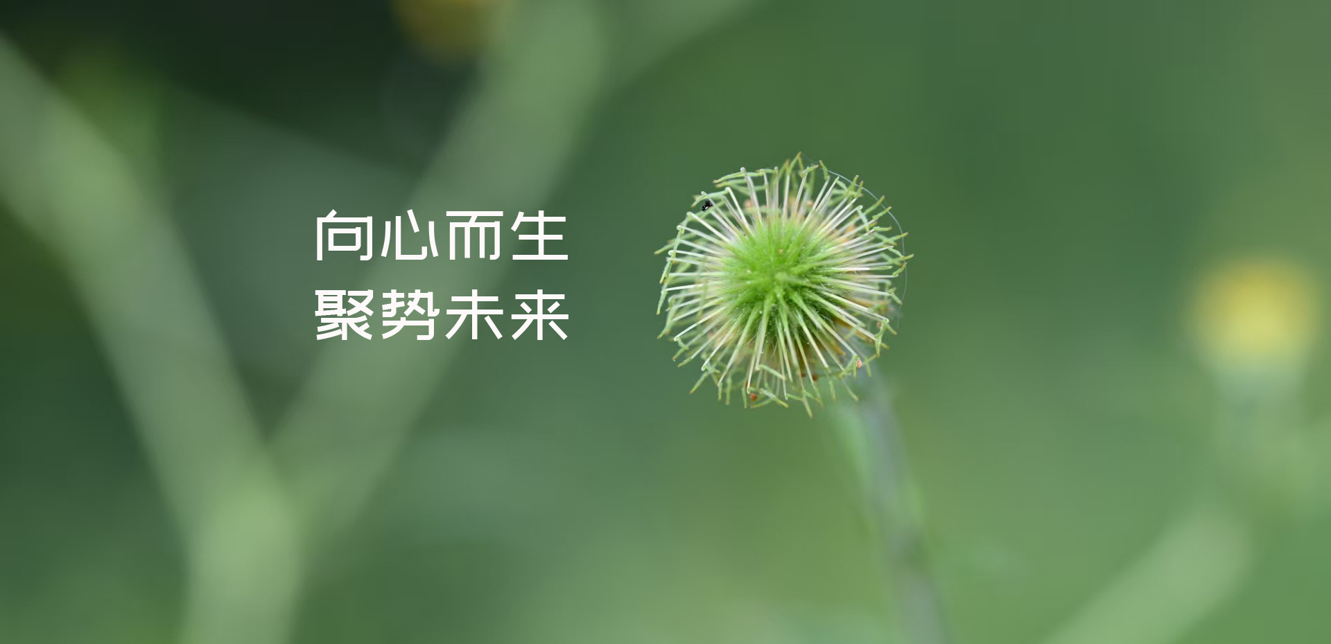 <?php echo $row['s_name'];?>